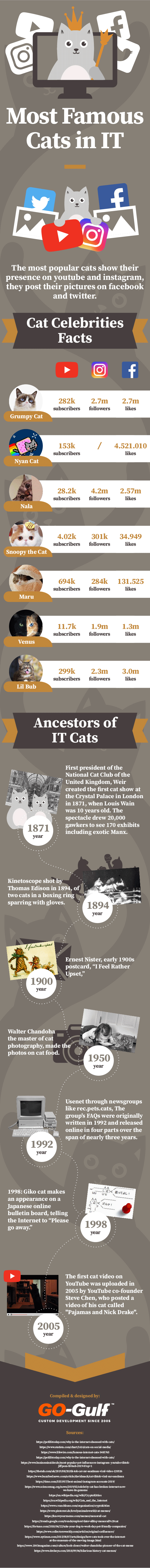 Most Famous Cats In IT